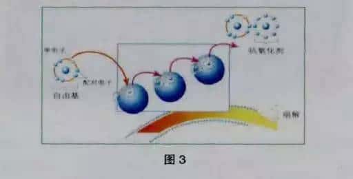 空壓機(jī)油顏色變化